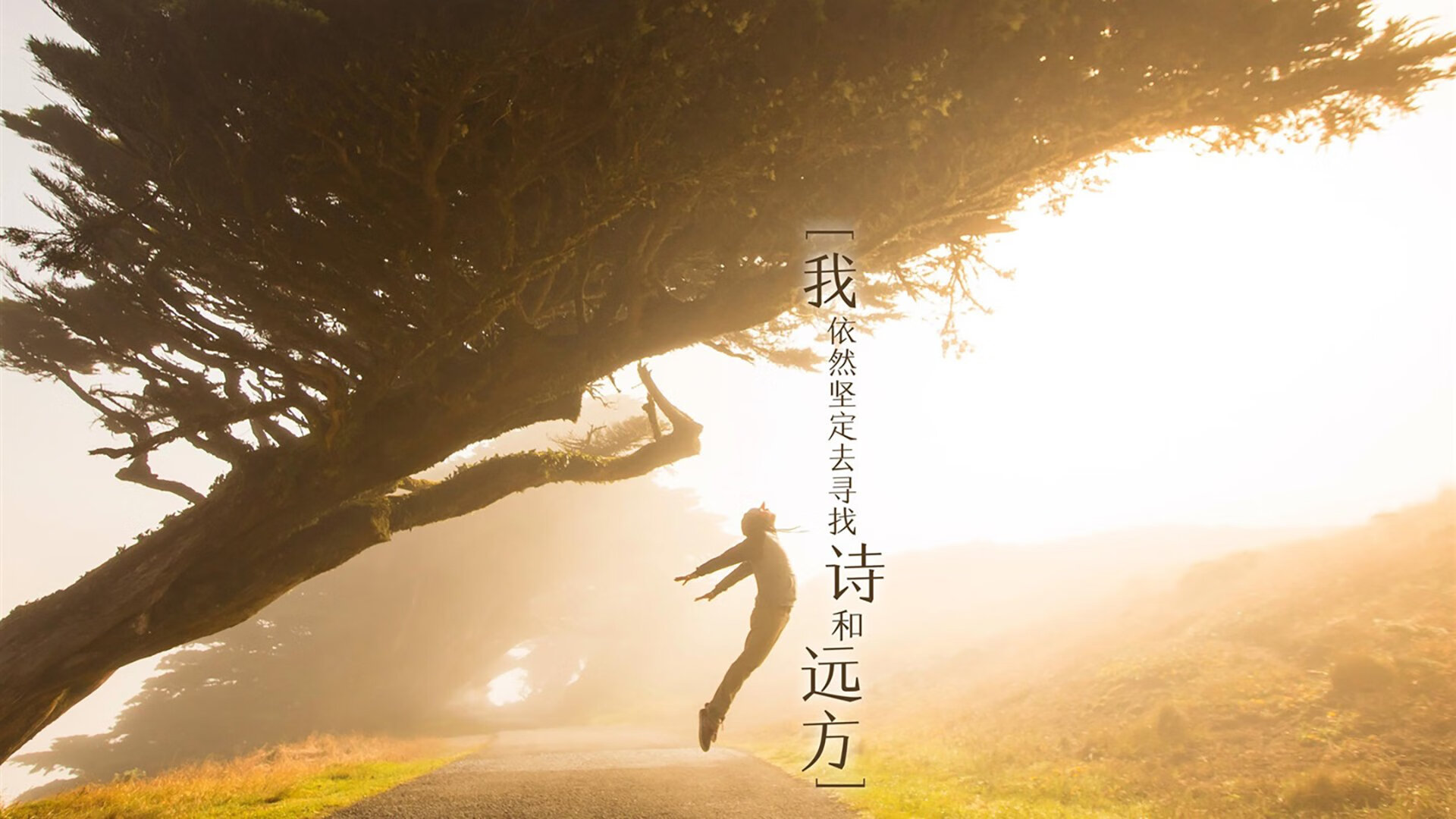 开云网站-_历史名城巡展：沿着城市古迹进行系列比赛_，城市历史沿革什么意思