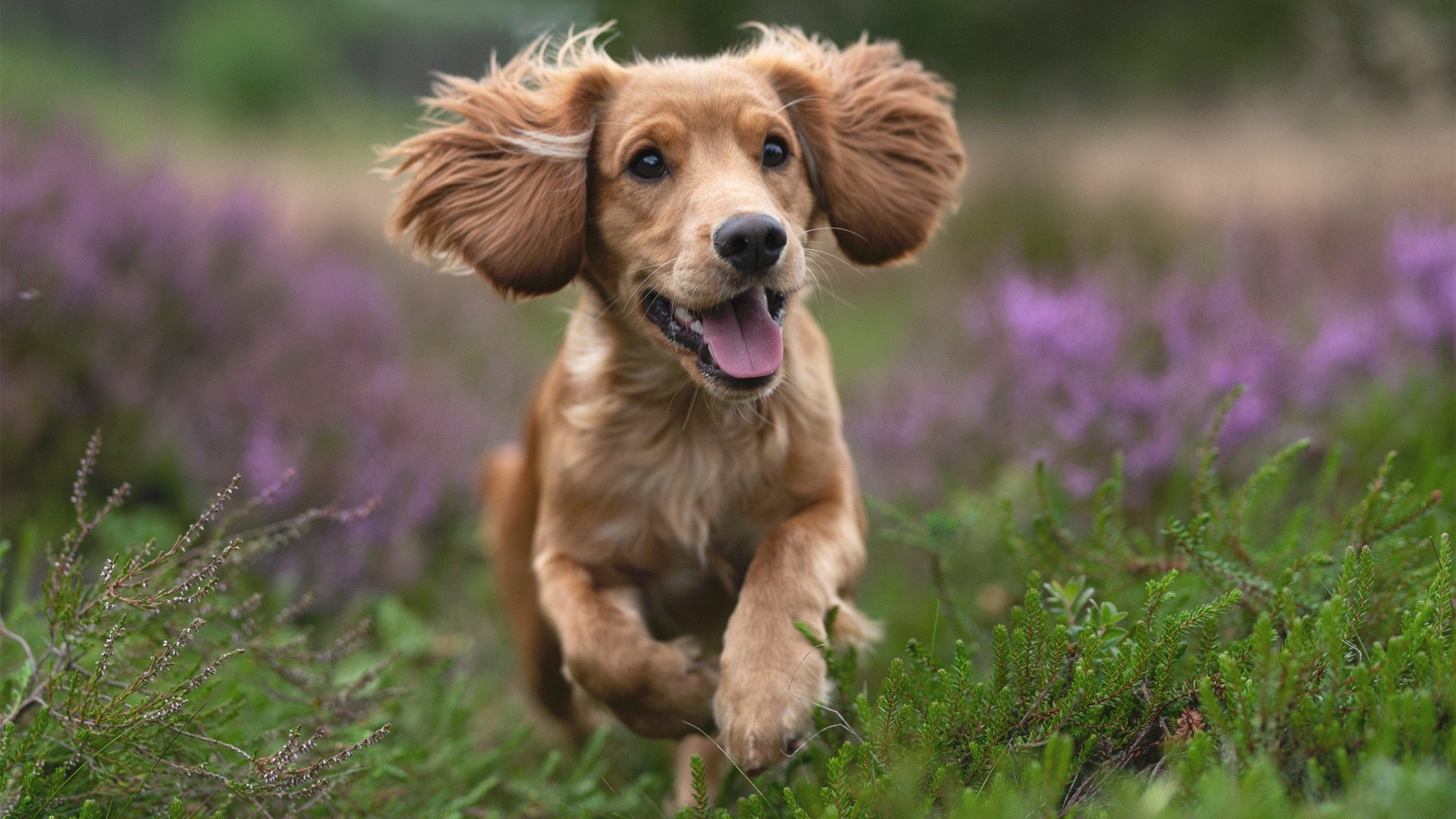 _夜光滑轮舞：在灯光中旋转出青春梦想_，夜光轮原理