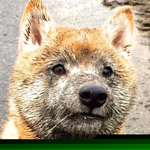 开云电子竞技-_异域文化运动交流节：跨国体育文化盛会_，异域文化交流活动体会